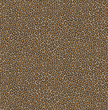 109/6027 - Senzo Spot