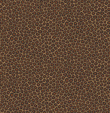 109/6028 - Senzo Spot