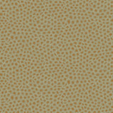 109/6029 - Senzo Spot