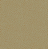 109/6029 - Senzo Spot