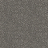 109/6031 - Senzo Spot