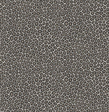 109/6031 - Senzo Spot