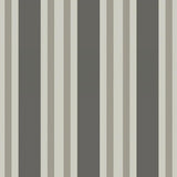 110/1001 - Polo Stripe