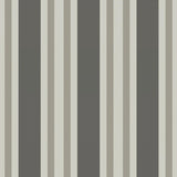 110/1001 - Polo Stripe