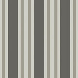 110/1001 - Polo Stripe