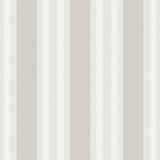 110/1005 - Polo Stripe
