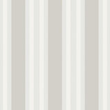 110/1005 - Polo Stripe