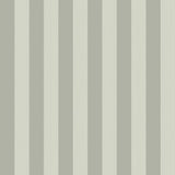 110/3014 - Regatta Stripe