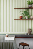 110/8038 - Cambridge Stripe
