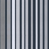 110/9043 - Carousel Stripe 1