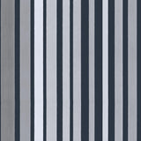110/9043 - Carousel Stripe 1