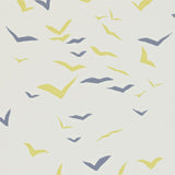 Flight - 110209