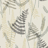 Athyrium - 110212