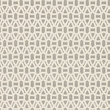 Lace - 110231