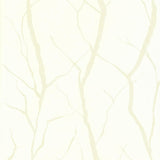 Branch - 110238