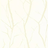 Branch - 110238