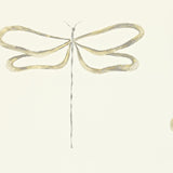 Dragonfly - 110243