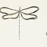 Dragonfly - 110247