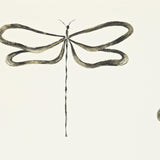 Dragonfly - 110247