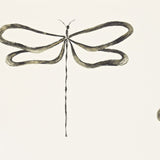 Dragonfly - 110247