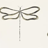 Dragonfly - 110247
