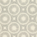 Tree Circles - 110251