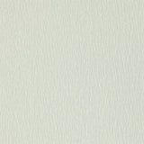 Bark - 110260