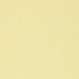 Bark - 110265