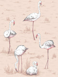 112/11039 - Flamingos