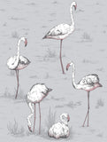 112/11040 - Flamingos