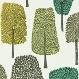 Cedar - 111083