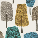 Cedar - 111084