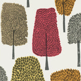 Cedar - 111085