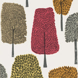 Cedar - 111085