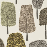 Cedar - 111086