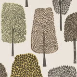 Cedar - 111086