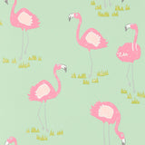 Felicity Flamingo - 111278