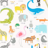 Animal Magic - 111287