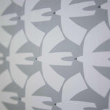 Pajaro - 111825
