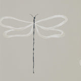 Dragonfly - 111933