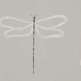 Dragonfly - 111933