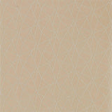 Zola Shimmer - 111975