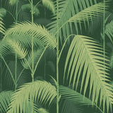 112/1003 - Palm Jungle