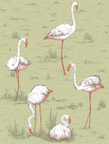 112/11038 - Flamingos