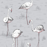 112/11040 - Flamingos