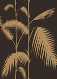 112/2007 - Palm Leaves 1