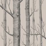 112/3009 - Woods 1