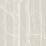 112/3010 - Woods 1