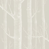 112/3010 - Woods 1