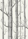 112/3010 - Woods 1